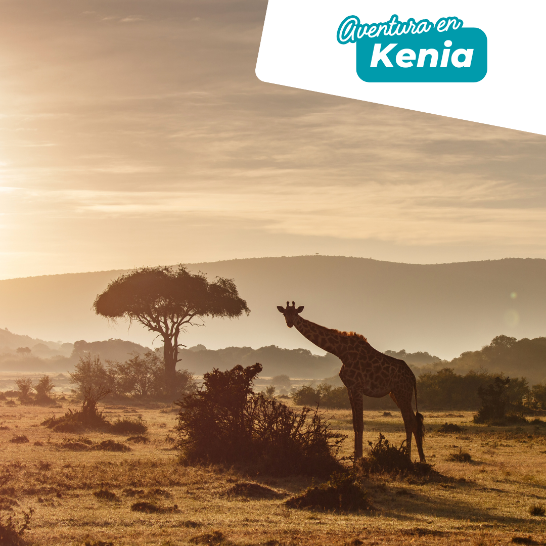 Aventura en Kenia desde MAD/BCN