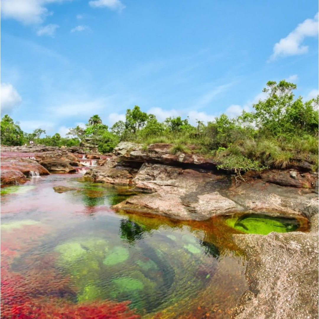 Trekking Caño Cristales