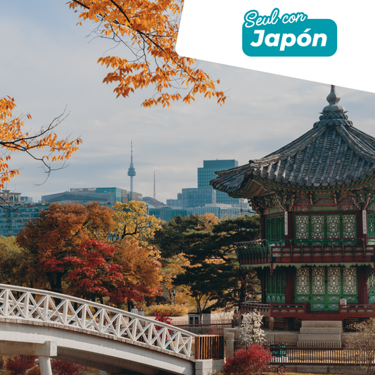 Seul con Japón