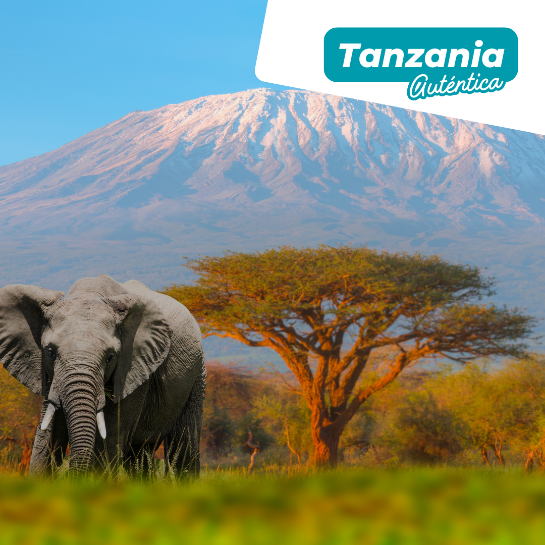 Tanzania auténtica desde MAD/BCN