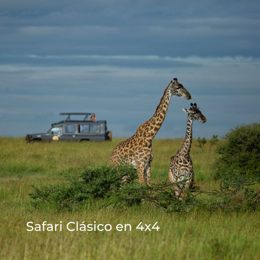 Safari en 4×4 por Kenia y Tanzania
